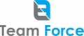 /posao/logo/team force png_1.jpg